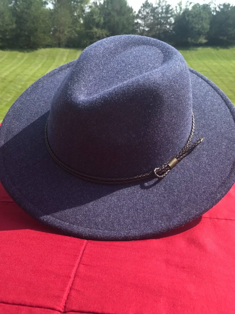 Blue Fedora: Wide Brim Felt Fedora